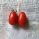 Illustration for article titled The Main Ingredient